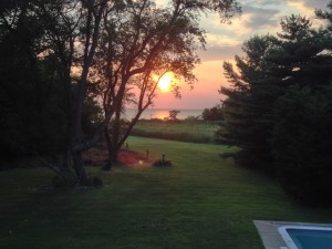 IMG 3867